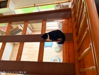 耳打ち