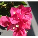 お金を寄付しても鼠算式に子供が生まれるからきりがない！