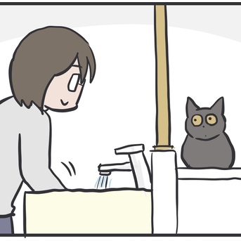 めずらしい猫パンチ