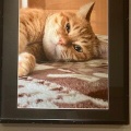 【写遊会より  その２】