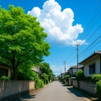 生かされるまま生きる