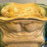 『3Dプリンターでスターウォーズのターグルを等身大で作ってみた』の画像