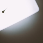 心霊-都市伝説ナビ-