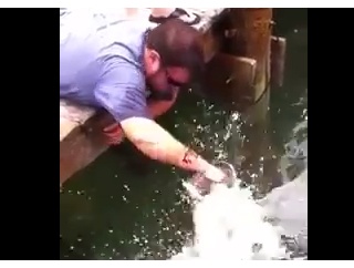 釣り竿なんて甘えたもんいらねえ、男なら手で釣れ！ハンドフィッシングのお手本。海外の反応