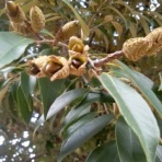 いつも居留守の　在氣呂（imasu_kero）のblog