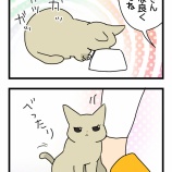 わかりやすくてわかりにくい訴えかた