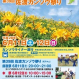 『【大野亀】6/11、6/12カンゾウ祭り開催!』の画像
