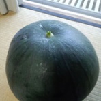 幻想館-つれづれ日記