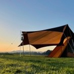 【画像】キャンプ場に変な実があった