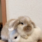 うのくらし
