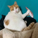 年末年始休業のお知らせ