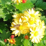 京都❤山里に暮らす