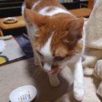 酒とロックな日常