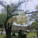 人の気持ちは誘導されやすい！