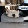 犬の指定席は、後部座席。さて、飼い主の燃えポイントは？