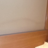 『東海地方梅雨入り。雨漏りチェックをしてみては？』の画像