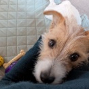 令和版かぐや姫