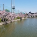 九華公園