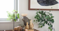 梅雨が明け、伸び放題だった植物の剪定をしまくりました！