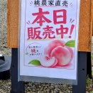 小林桃農園　香川間丸亀市