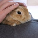 させてくれるとやっぱり嬉しい