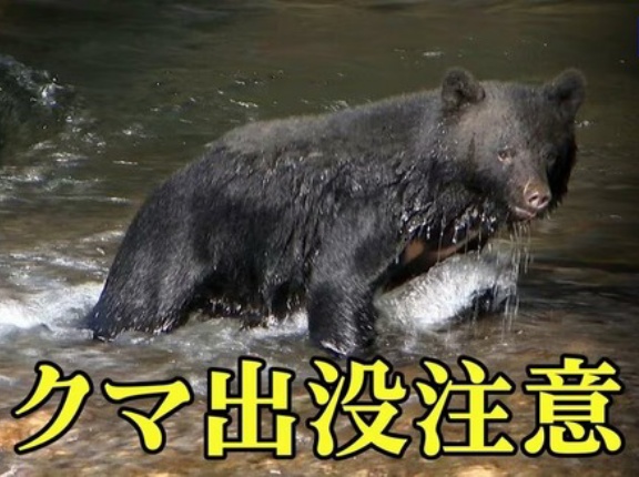 【岩手】漆かきの作業中に襲われたか？男性がクマに頭をかまれたり腰をひっかかれるなどのけが　一戸町