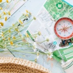 アロマであまやどりブログ