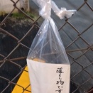 まだまだ捨てたもんではないのかも知れません