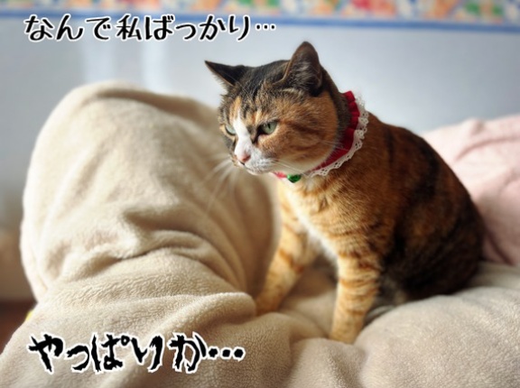 三度目の破裂…病院行ってきます。