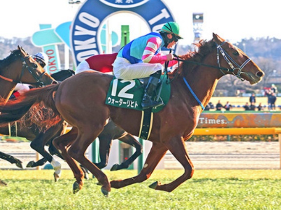 【競馬予想】[1]第76回東京新聞杯(GⅢ) /2026