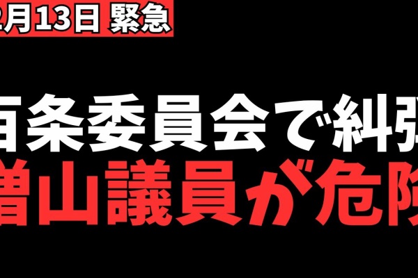 じんじろげ◆丸山久幸　「ヴェニス」　　日展会友　特選　創元会委員◆ Kawagoe Lonvic - 2024年12月
