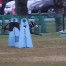 最終地区予選３