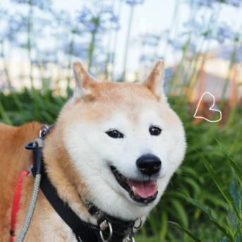 梅雨明け前だから…