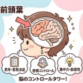 前頭葉の働きとは？『面倒くさい』は老化のサインだ！
