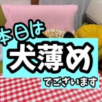 メルロコ一家の横須賀ストーリー