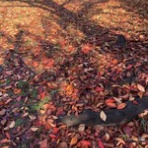 吉田進のデザイン日記