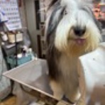お客様のご紹介
