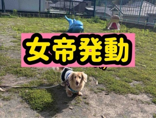 モコってこんな子。