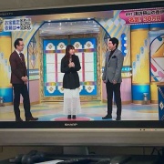 �������Ϥʤ�Ǥ������