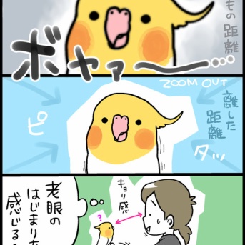 鳥で感じる自分の変化