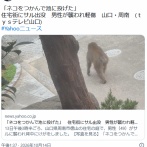 「サルがネコをつかんで池に投げた」　住宅街にサル出没　男性が襲われ軽傷　山口・周南