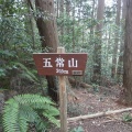 埼玉県飯能市…愛宕山・水晶山・深沢山東峰・深沢山西峰・五常山・長尾根山
