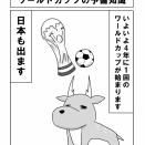 まだ間に合う？うす～くワールドカップの予備知識
