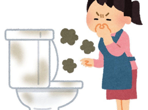 韓国人「ふざけたことに日本の人たちはきれいで有名な韓国のトイレのことを汚いって言うんです」