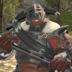 全てのヒカセンたちへ