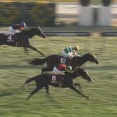 【競馬】東京スポーツ杯2歳Sはルメール騎乗のパントルナイーフがV