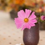 『自分への戒め』の画像