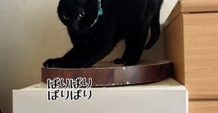 グリくんにも変化があった。