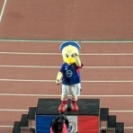 まりおう丨F・マリノスを応援する全てを応援する