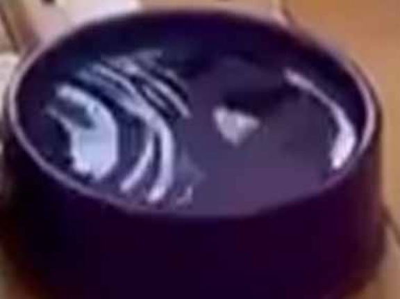 うちのネコが水を飲んでいた。そのスタイルはどうなの？ → 怠け者レベル100はこちらです…